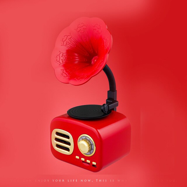 SANSUI Speaker EchoPulse-15.jpg