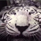 3D White Tiger Bettwäsche-Set-5.jpg