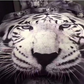 3D White Tiger Bettwaesche-Set – Eleganz und Exotik fuer Ihr Schlafzimmer-06.png
